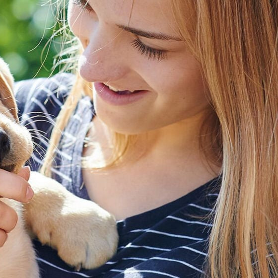 Consejos para cuidar a tu perro en casa