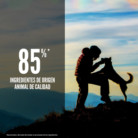 ORIJEN ORIGINAL DOG - PERRO 2 KG