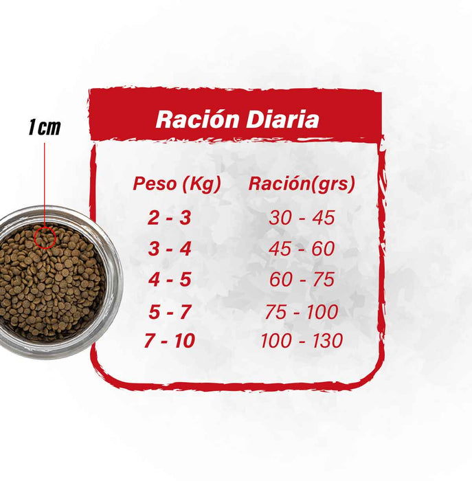 BARFOOD - ALIMENTO DESHIDRATADO DE VACUNO PARA GATOS 2 KG